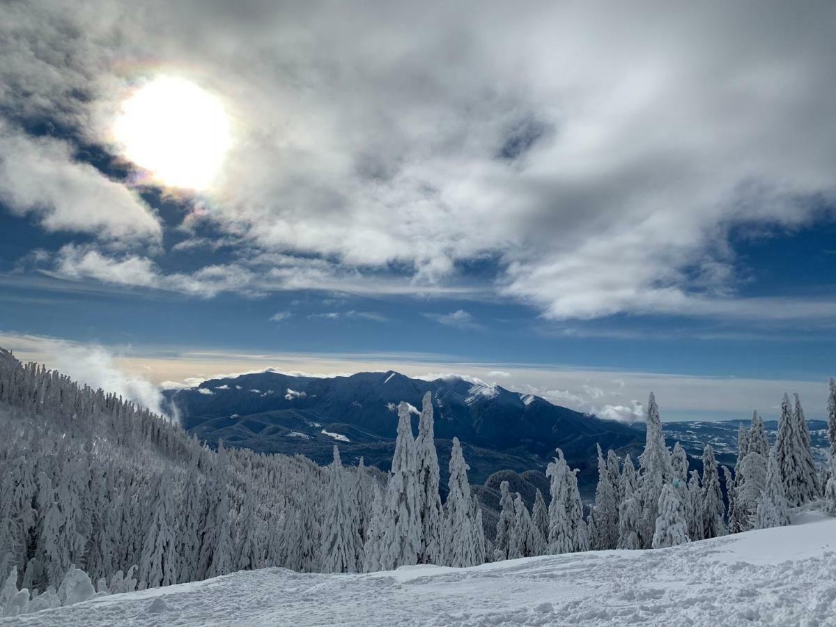 Silver Mountain Poiana Brasov Eksteriør bilde