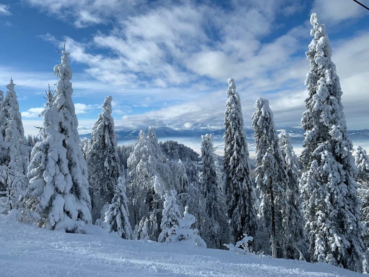 Silver Mountain Poiana Brasov Eksteriør bilde