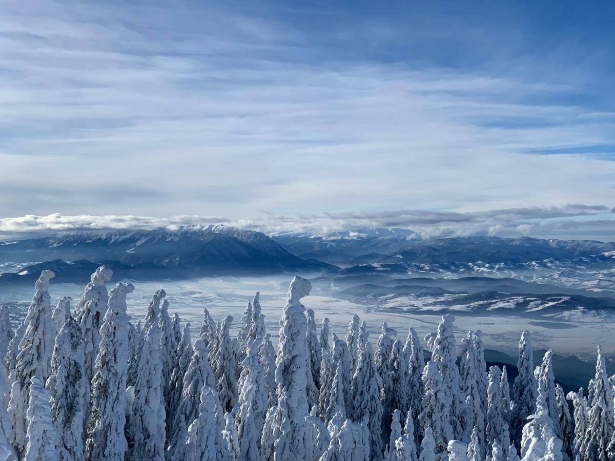Silver Mountain Poiana Brasov Eksteriør bilde